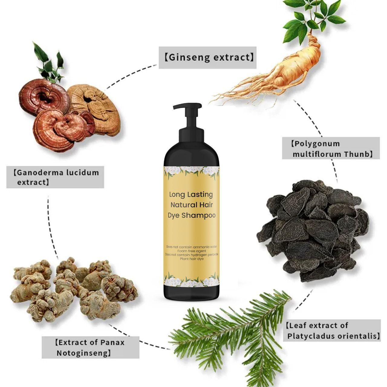 Japanese Long Lasting Natural Hair Dye Shampoo