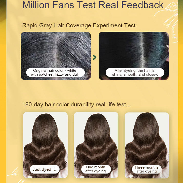 Japanese Long Lasting Natural Hair Dye Shampoo