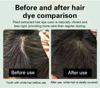 Japanese Long Lasting Natural Hair Dye Shampoo